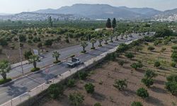 Menderes’te ilaçlama seferberliği başladı