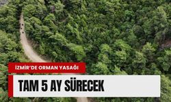 İzmir'de ormanlara giriş yasağı! tam 5 ay sürecek