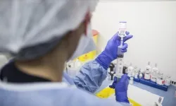 Kanser hastalarına müjde! Bilim insanları açıkladı: O madde tümörleri eritiyor!