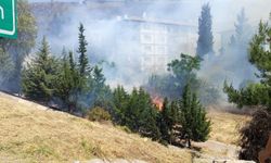 İzmir'de ot yangını afet konutlarına dayandı!