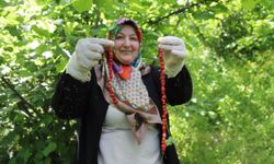 Dağlardan sofraya uzanan lezzet artık tescilli!