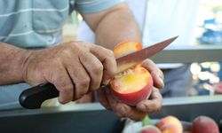 Kemalpaşa’da yağışlar şeftalide verimi artırdı