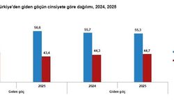 Türkiye’ye göçte dikkat çeken artış