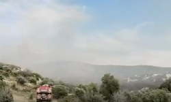Çeşme'de korkutan yangın!