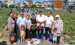 Toprağa dokunan kadınlar, Bornova'da geleceği yeşertiyor