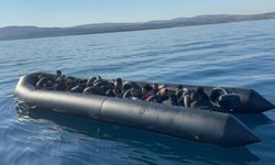 Tehlikeli yolculuk: Çeşme’de son bulgu!