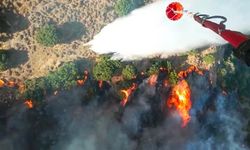 Menemen'de çıkan yangın kontrol altına alındı