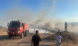 İzmir Aliağa'da otluk alanda yangın paniği