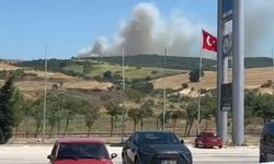 Balıkesir Susurluk'ta orman yangını!
