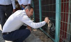 Bayındır'da protokolden yakın markaj