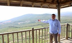 Saygılı: İzmir'de yanan her alan yeniden yeşillendirildi