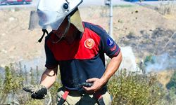 İzmir İtfaiyesi'nden yangında bukalemuna yaşam dokunuşu