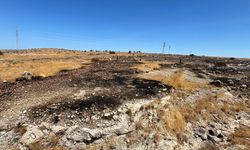 Çeşme Germiyan’da elektrik hattından çıkan yangın kısa sürede söndürüldü!