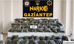 'Narko Kapan' operasyonunda 382 gözaltı!