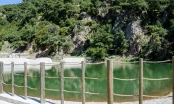İzmir'de toplu taşımayla ulaşabileceğiniz popüler piknik alanları