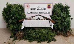 Ağaç arasında kirli tezgah: Zehir taciri tutuklandı!