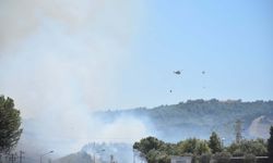 Buca otoban kenarında yangın