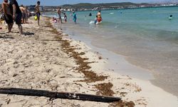 Çeşme Ilıca Plajı'nda kirlilik tepkisi