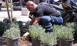 Konak'ta yeşil alanlarda bakım seferberliği