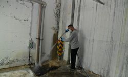 Manisa'da sivrisinekle mücadelede yakın takip