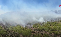 Mersin alev alev: 80 ev tahliye edildi!