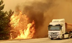 Muğla'da orman yangını! Alevlere havadan ve karadan müdahale!