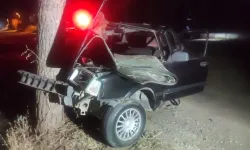 İzmir’de ağaca çarpan sürücüden acı haber!