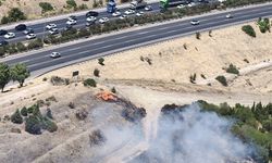 Buca otoban kenarında yangın