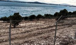Çeşme’de çevreciler ve doğa kazandı: Kalemburnu’ndaki hukuksuz tahribat durduruldu!