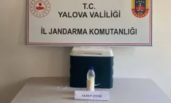 Akrep zehri operasyonu! 500 gramına 5 milyon dolar değer biçildi!