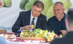 İzmir'de incir üreticisine can suyu!