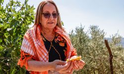 Bardacık Festivali başlıyor!