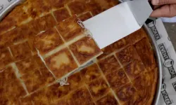 Levent Börek'e kayyum kararı!
