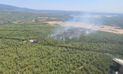 Buca’da korkutan yangın kontrol altında