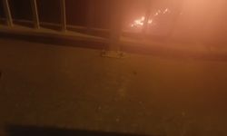 Karacabey’de ormanlık alanda yangın paniği!