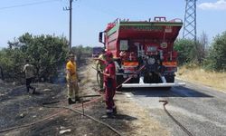 Gördes’te yangın tehlikesi büyümeden önlendi