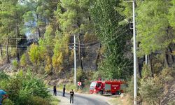 Seydikemer’de alevler kontrol altına alındı