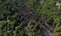 Sinop'ta alevler kontrol altına alındı
