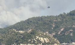 Marmaris'te ulaşımı zor koyda orman yangını