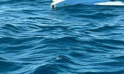 Karasu açıklarında balıkçıların dron şaşkınlığı
