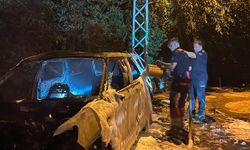 Erdek’te otomobil alevlere teslim oldu
