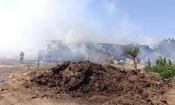 Gönen’de alevler çiftliğe sıçradı: 90 ton saman kül oldu