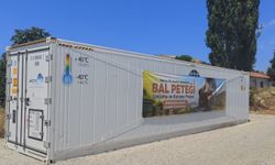 Arıcıların peteklerine güve kalkanı!