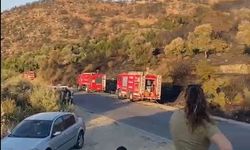 Söke’de orman yangını kontrol altına alındı