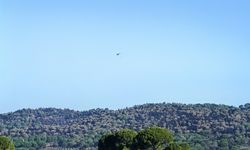 Gömeç'ten Bergama'ya uzanan yangın sürüyor!