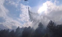 İnegöl’de korkutan orman yangını!