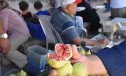 Çapak Bardacık İnciri 15’inci kez festivalle tanıtıldı