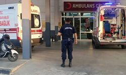 Domuz nöbeti faciaya döndü: Babasını vurdu!