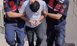 Edremit’teki orman yangınında şüpheli tutuklandı