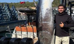 Sığacık’ta 260 kiloluk dev orkinos yakalandı